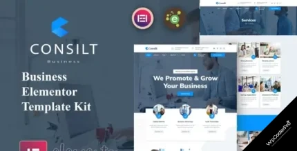 Download Consilt - Business and Consulting Elementor Template Kit