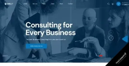 Download Conult - Consulting Business WordPress Themes