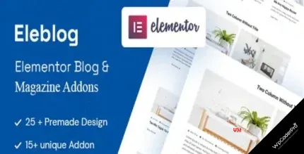 Download Elementor Newspaper, Magazine and Blog Addons