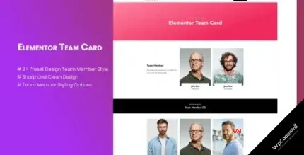 Download Elementor Team Card