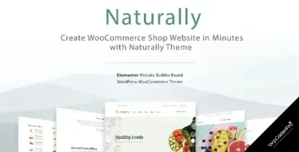 Download Elementor WooCommerce Ecommerce Shop and Store WordPress Theme