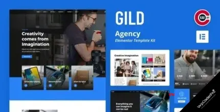 Download Goodpay - Fintech Elementor Template Kit