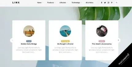 Download Linx - WordPress Blog and Magazine Theme