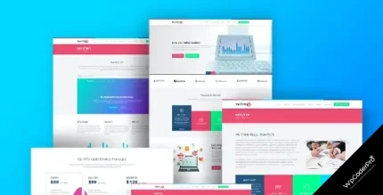 Download Markety - SEO and Digital Marketing WordPress Theme