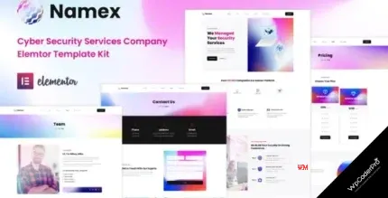 Download Namex - Cyber Security Services Company Elementor Template Kit