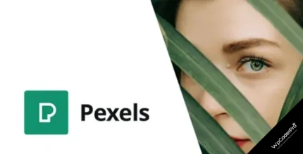 Download Pexels - Import Free Stock Images into WordPress