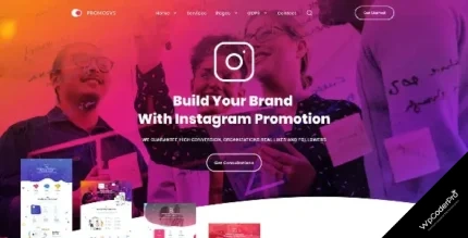 Download PromoSys Promotion Services WordPress Theme
