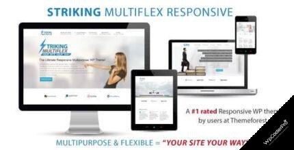 Striking WP Theme 1