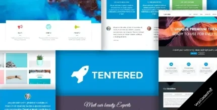 Download Tentered - Multi Purpose WordPress Theme