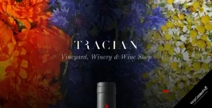 Download Tracian - Wine WordPress Theme