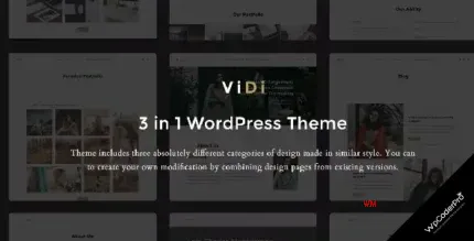 Download ViDi - 3 in 1 Creative WordPress Theme