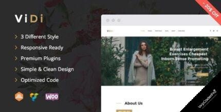 ViDi WordPress Theme