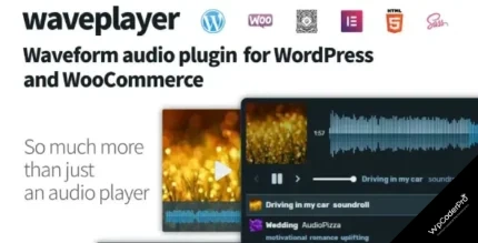 Download WavePlayer, Audio Player for WordPress/WooCommerce