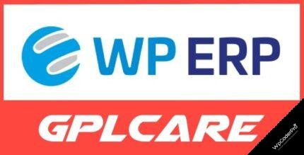WP ERPMG1