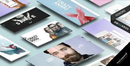 Animo WordPress Theme