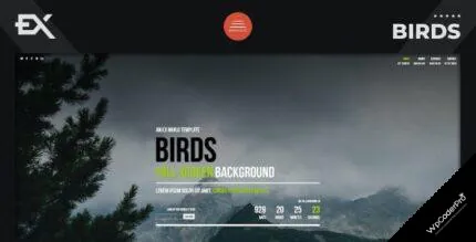 Download Birds - Responsive Coming Soon Page