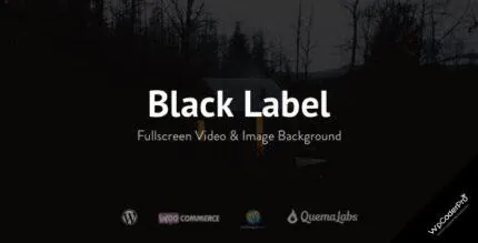 Download Black Label – Fullscreen Video and Image Background v4.0.14
