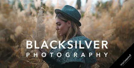 Blacksilver WordPress Theme