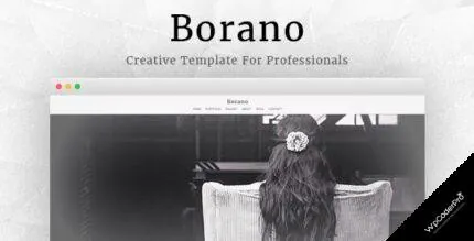 Download Borano – Photography, Portfolio WordPress Theme v1.46