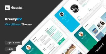 BreezyCV WordPress Theme