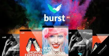 Download Burst – Bold and Vibrant Design Agency Theme v3.2