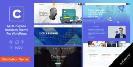 Download Capital – Multi Purpose Business WordPress Theme v2.5
