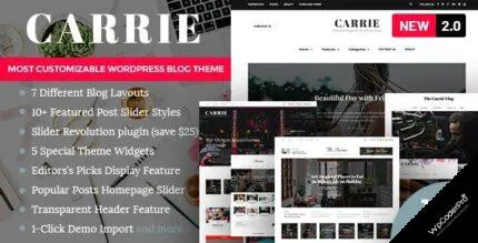 Carrie WordPress Theme