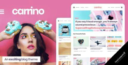 Download Carrino – An Exciting Gutenberg Blog Theme v1.4.4