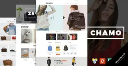 Chamo WordPress Theme