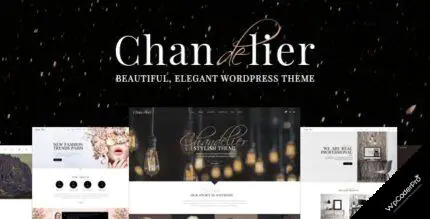 Download Chandelier – A Theme Designed for Custom Brands v1.11