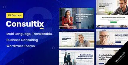 Consultix WordPress Theme