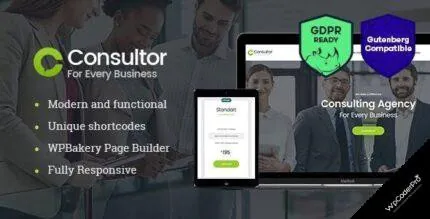 Consultor WordPress Theme