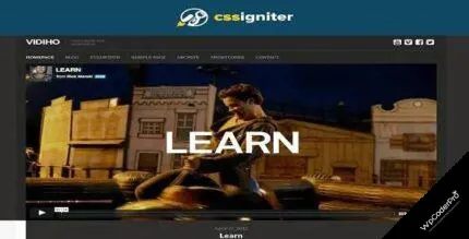 Download CSSIgniter - Vidiho WordPress Theme 2.4.1