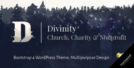 Download Divinity – Church, Nonprofit, Charity Events and Donations Bootstrap 4 WordPress Theme v1.3.4