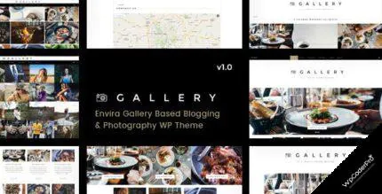 Download Gallery – Blogging and Envira Gallery WordPress Theme v1.0.5