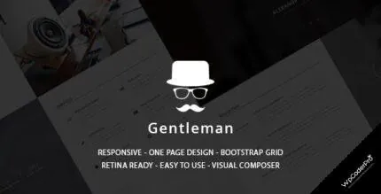 Download Gentleman – CV and Resume vCard WordPress Theme v1.4.3