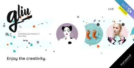 Download Gliu – Enjoy The Creativity WP Theme v3.0