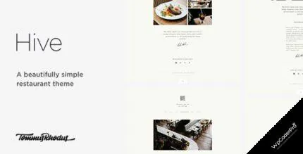 Hive WordPress Theme