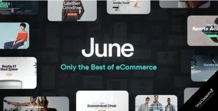 June WordPress Theme