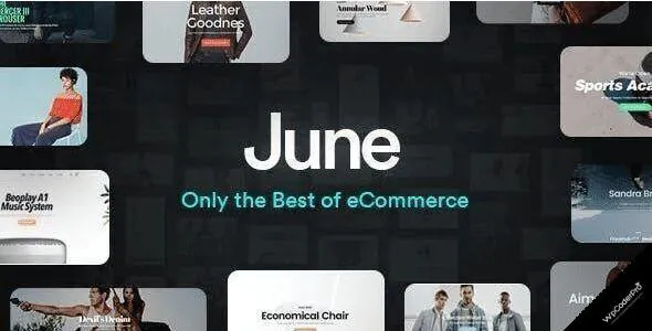 June WordPress Theme