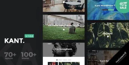 Download Kant a Multipurpose WordPress Theme for Startups Creatives and Freelancers v1.0.18