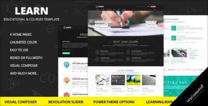 Learn WordPress Theme