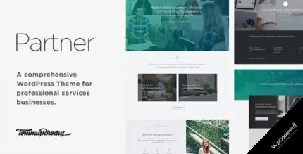 Download Partner – Accounting and Law Responsive WordPress Theme v1.0.7