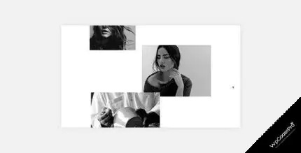 Download Peter – Ajax Based Creative WordPress Theme v1.0.4