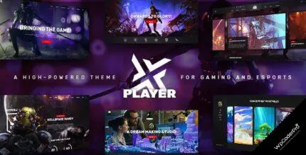 Download PlayerX – A High-powered Theme for Gaming and eSports v1.10.1