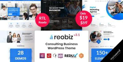 Reobiz WordPress Theme