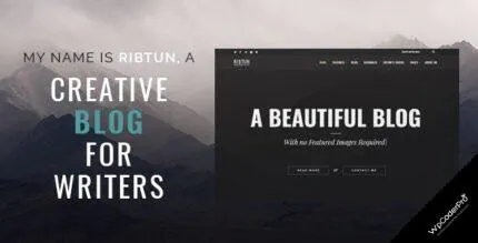Download RibTun – WordPress Blog Theme For Writers v1.2