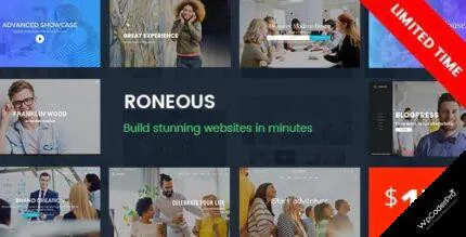 Roneous WordPress Theme