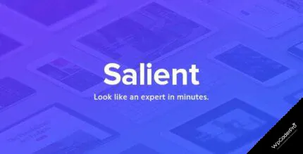 Salient WordPress Theme