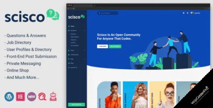 Scisco Questions and Answers WordPress Theme 1